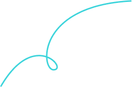 Coporate user